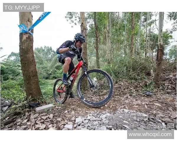 杭州极限运动队的整体压制体系与极限运动战术的深度解析与应用