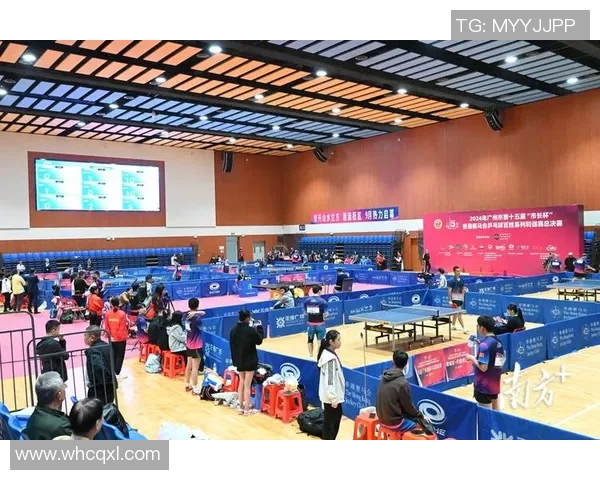 乒乓球的魅力与激情：深入广州乒乓球队的训练与比赛节奏探讨
