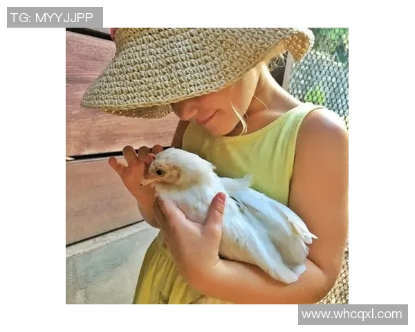 养猫的足球明星是谁他与爱猫的温馨故事揭秘